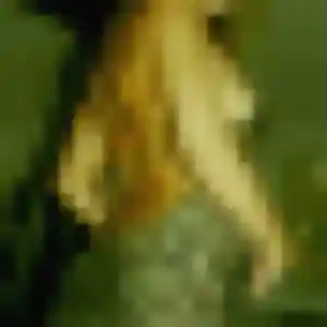 Bernadette (27 ans) à Donneville attend une rencontre ce soir