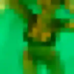 Émeline, 41 ans, en ligne à Donneville pour une rencontre coquine