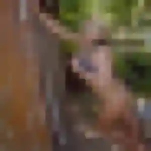 Jolie Félicité, 31 ans à Douvres-la-Délivrande - découvrir son profil