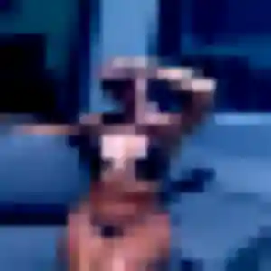 Photo de Cassandra à Durtol (22 ans) - plan cul anonyme