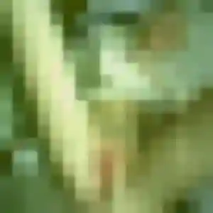 Photo de Inès à Échauffour (22 ans) - plan cul anonyme