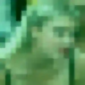 Photo de Abibatou à Écommoy (33 ans) - plan cul anonyme