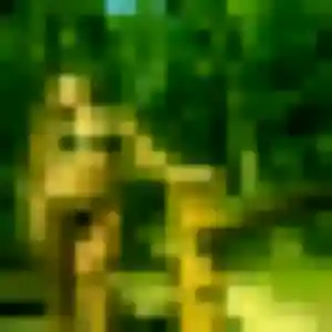 Photo de Élise à Écuires (39 ans) - plan cul anonyme
