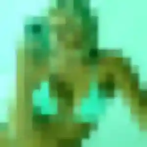 Hawa, 44 ans, en ligne à Edern pour une rencontre coquine