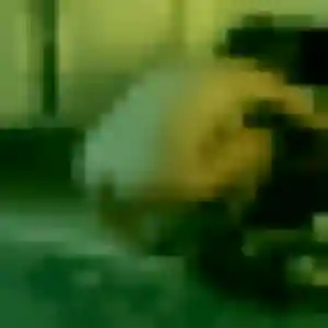 Léonie, 33 ans, en ligne à Effiat pour un plan cul