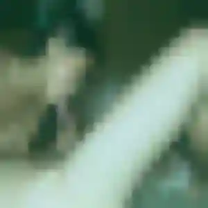 Jeanine, 36 ans, connectée à Elnes pour une rencontre coquine