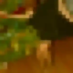 plan cul à Éloie : profil de Yasmine, 29 ans - accès libre