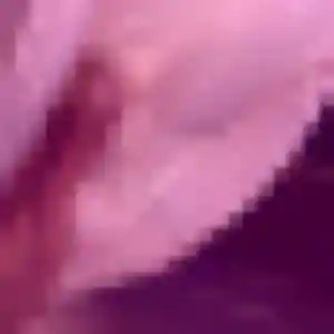 Cindy (24 ans) à Épannes cherche une rencontre maintenant