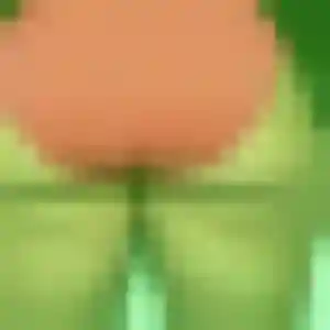 Photo de Anaïs à Épenoy (35 ans) - plan cul gratuit