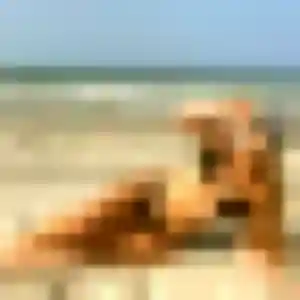 Profil de Nadège à Équihen-Plage (34 ans) - plan cul sans inscription