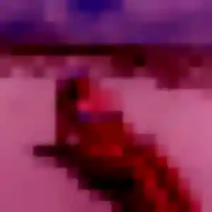 Photo privée de Codou, 43 ans à Erbrée - rencontre coquine