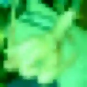 Sexy Funke, 22 ans à Espondeilhan - voir sa photo