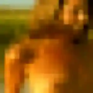 Grâce, 44 ans, dispo pour plan cul à Estevelles