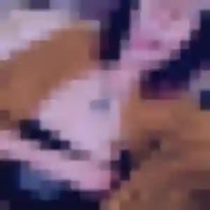 Afia, 24 ans, connectée à Fauguerolles pour une rencontre coquine