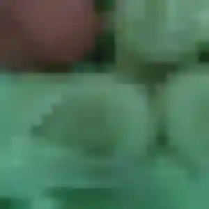 Photo sexy de Yankuba, 29 ans à Faye-l'Abbesse - rencontre sans lendemain