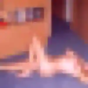 Photo de Sixtine à Fégréac (35 ans) - plan cul discret
