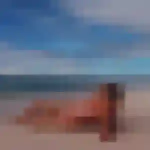 Contacte Capucine, 34 ans à Ferrière-la-Grande gratuitement