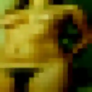 Photo exclusive de Paulette, 30 ans à Feytiat - rencontre coquine