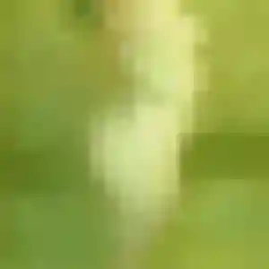Profil de Hawa à Fontenay-en-Parisis (31 ans) - plan cul sans inscription