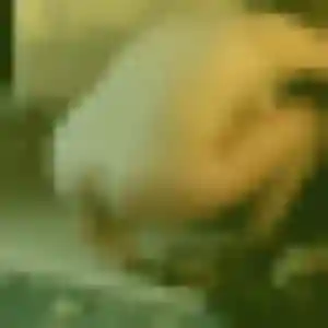 Photo de Soukeyna à Fouilloy (44 ans) - plan cul anonyme