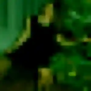 Efua, femme de 33 ans propose plan cul à Frambouhans