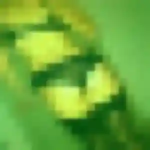 Photo perso de Ramatoulaye, 29 ans à Frouzins - rencontre coquine