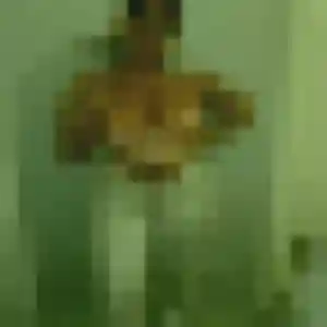 plan cul à Galgon : photo de Titilayo, 28 ans - accès libre