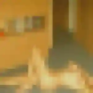 Esi, 39 ans, disponible à Garons pour un plan cul
