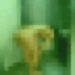 Photo sexy de Léonie, 30 ans à Gauville-la-Campagne - rencontre coquine