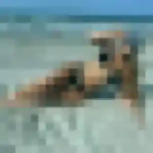 Photo privée de Charline, 29 ans à Gémozac - rencontre coquine