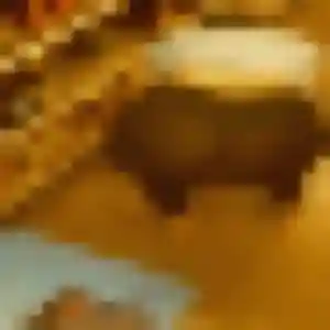 Folake (29 ans) à Genilac cherche une rencontre ce soir