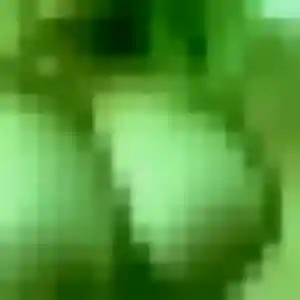 Photo de Élise à Genouilly (22 ans) - plan cul discret