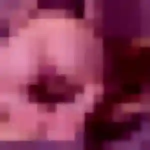 Kimberley, 34 ans, connectée à Ger pour une rencontre coquine