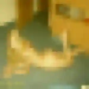 plan cul à Gerstheim : photo de Déborah, 44 ans - accès libre