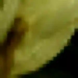 Selbé (33 ans) à Gestel attend une rencontre ce soir