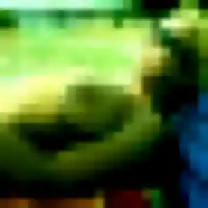Ludivine, 23 ans, en ligne à Gevry pour une rencontre coquine