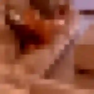 Photo de Pénélope à Giat (29 ans) - plan cul anonyme