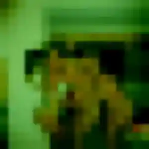 Photo exclusive de Mariam, 27 ans à Gometz-le-Châtel - rencontre coquine