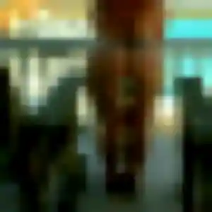 Comfort, fille de 39 ans cherche plan cul à Goven