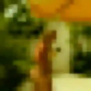 Maëva, 38 ans, connectée à Graimbouville pour une rencontre coquine