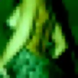 Photo de Élise à Gratot (43 ans) - plan cul gratuit