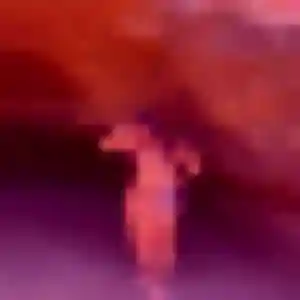 Photo exclusive de Morgane, 28 ans à Grézillac - rencontre sans lendemain