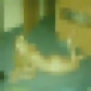 Photo de Ndèye à Grimaud (44 ans) - plan cul gratuit