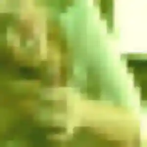 Charmante Naëlle, 33 ans à Grisy-les-Plâtres - voir sa photo