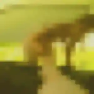 Photo perso de Cindy, 38 ans à Gruissan - rencontre sans lendemain