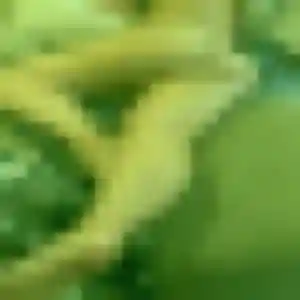 Photo exclusive de Malaika, 45 ans à Guarbecque - rencontre sans lendemain