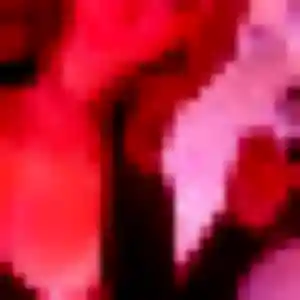 Yvette (22 ans) à Guémar cherche une rencontre rapidement