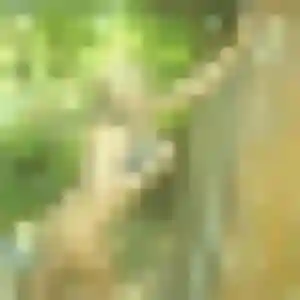 Precious, femme de 30 ans cherche plan cul à Guenrouet
