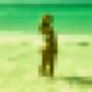 Wilda (44 ans) à Guérard cherche une rencontre rapidement