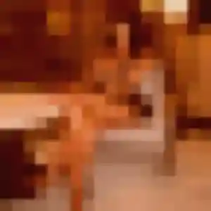 Samira, 27 ans, en ligne à Guerlesquin pour une rencontre coquine
